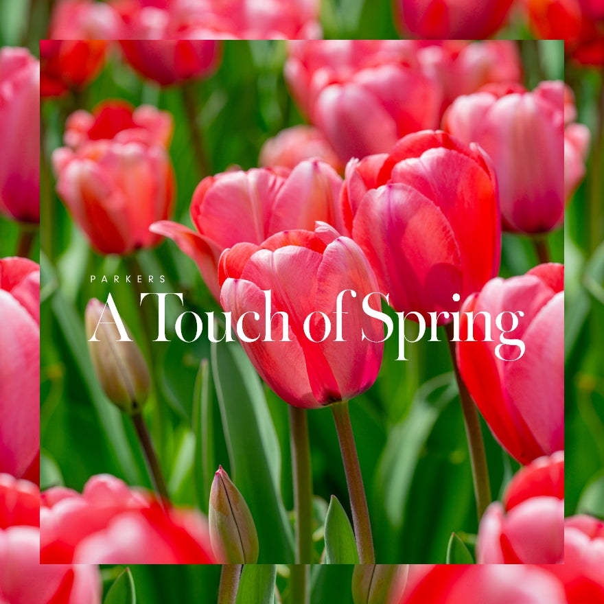 A Touch of Spring