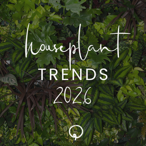 Houseplant Trends 2026