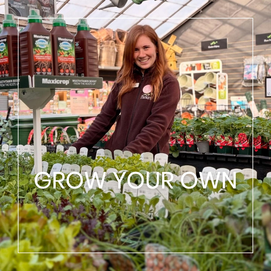 Grow Your Own